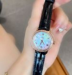 Omega 27/32MM Quartz Movement Green Dial Stainless Steel Black Strap Lady Watch